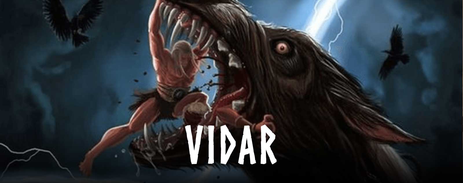 Vidar