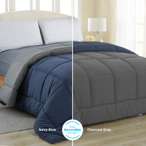 equinox comforter