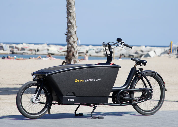 electric cargo bike