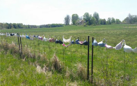 Southwood Rd. Bra Fence