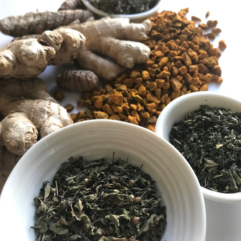 Adaptogenic herbs on a white backdrop. Includes ginger root, turmeric, tulsi aka holy basil, raspberry leaf and nettle leaf.