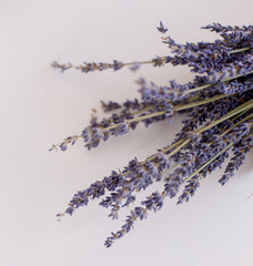 Lavender is one of the amazing anxiety reducing ingredients that can be used alone or with others in herbal blends.