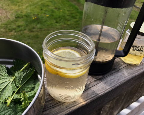 Fresh nettles, a cup of freshly brewed nettle tea, a bodum full of steeped nettles and local honey line the porch.