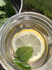 A twig of fresh lemon balm and a slice of lemon top a cup of freshly brewed nettle leaf tea made with nettles harvested on Vancouver Island.