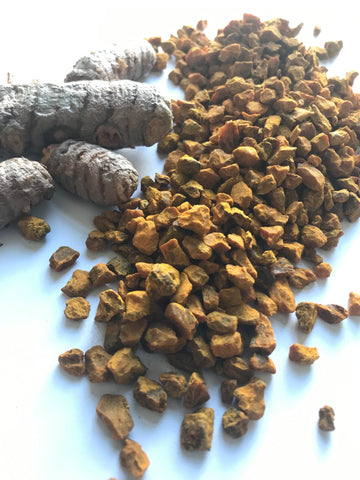 Turmeric root in its fresh and dried form against a white background.