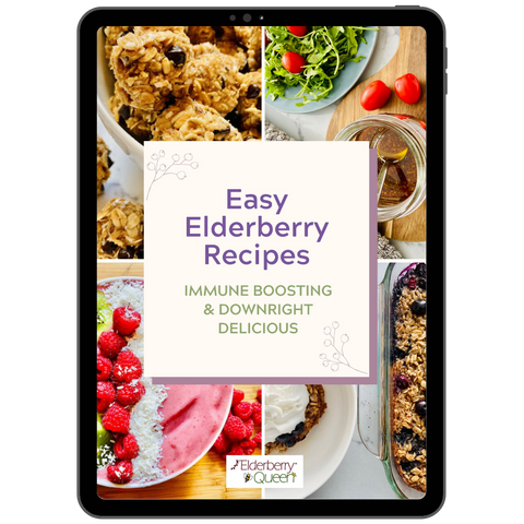 elderberry recipes
