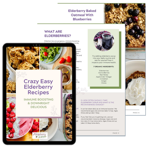 elderberry recipes ebook