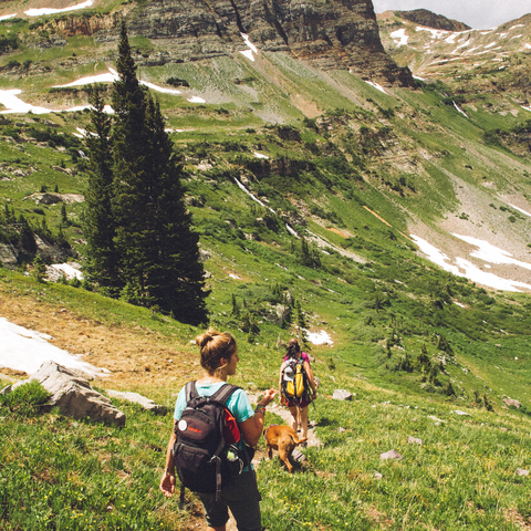 hiking as a family up a mountain