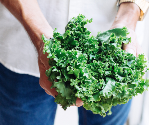 A bunch of kale for mental health foods