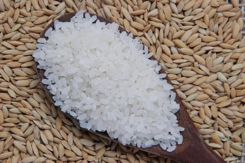 Racionamento de arroz pode causar aumento de preços