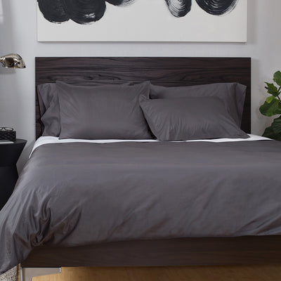 charcoal grey teddy bear bedding