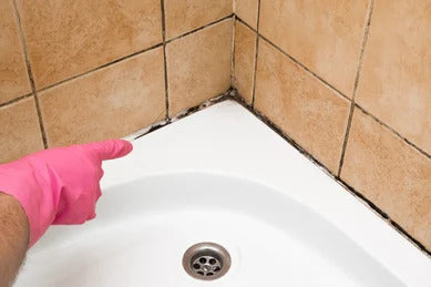 mold on a bathtub