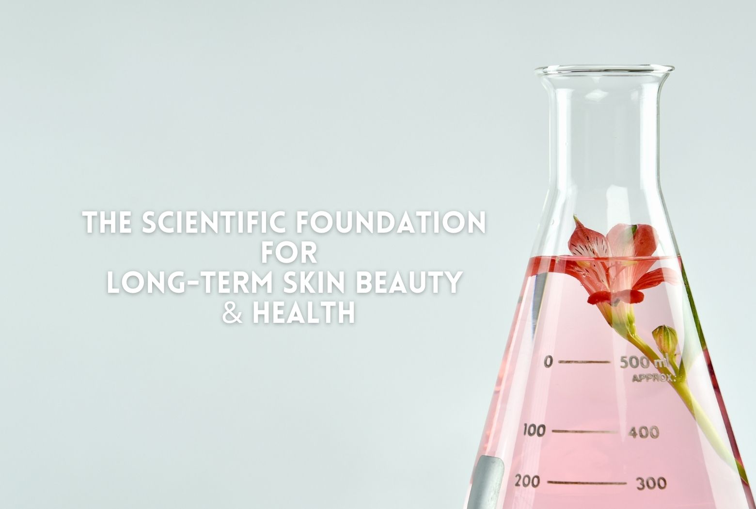 The Scientific Foundation for Long-Term Skin Beauty and Health