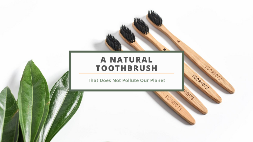 natural toothbrush