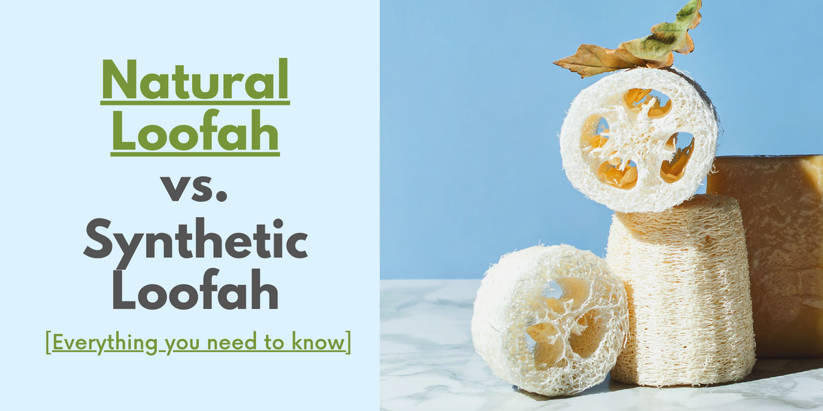 Natural Synthetic Loofah [Everything you to know] –