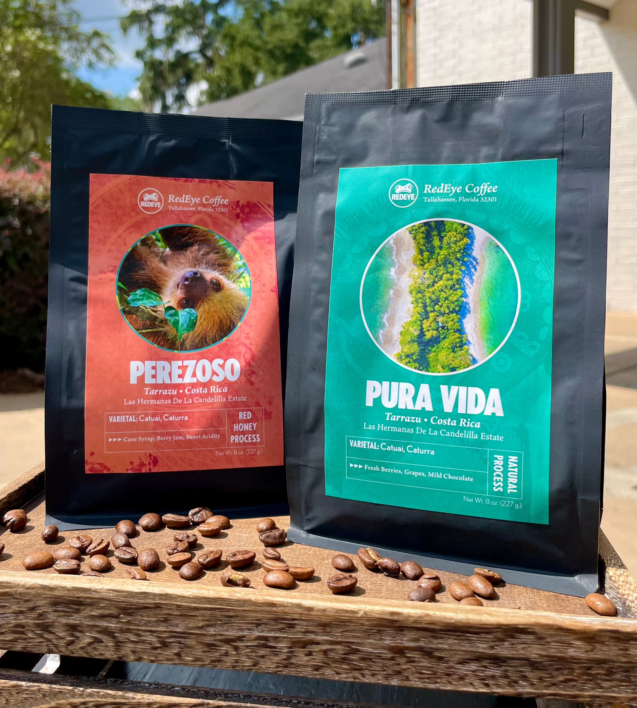 Pura Vida & Perezoso: Costa Rica Tarrazu