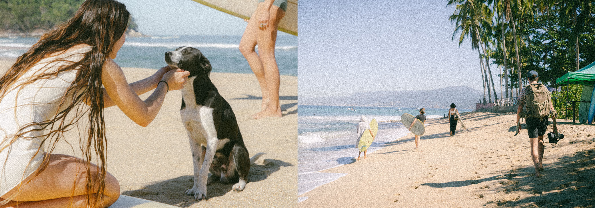 dog beach Mexico walk longboard photoshoot white one piece