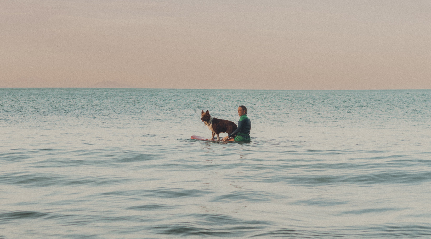 Brazil Ilhabela dog surf roadtrip Yulex wetsuit colorful green ocean