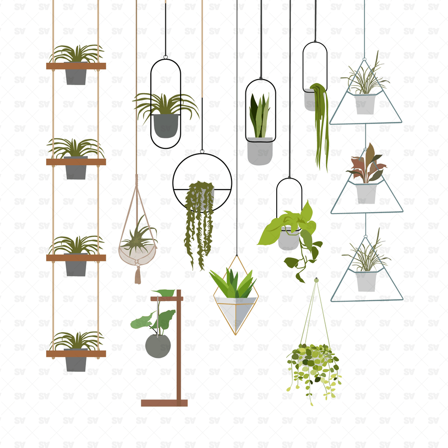 Flat Vector Plants | Architecture | Studio Alternativi