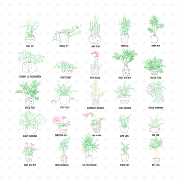 25 CAD and Line Art Vector Interior Purifying Plants – Studio Alternativi