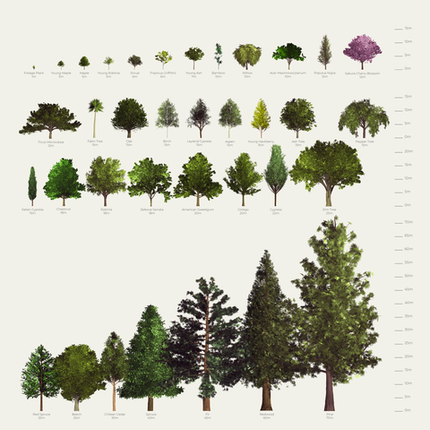 Realistic Trees Pack by Height - Download now – Studio Alternativi