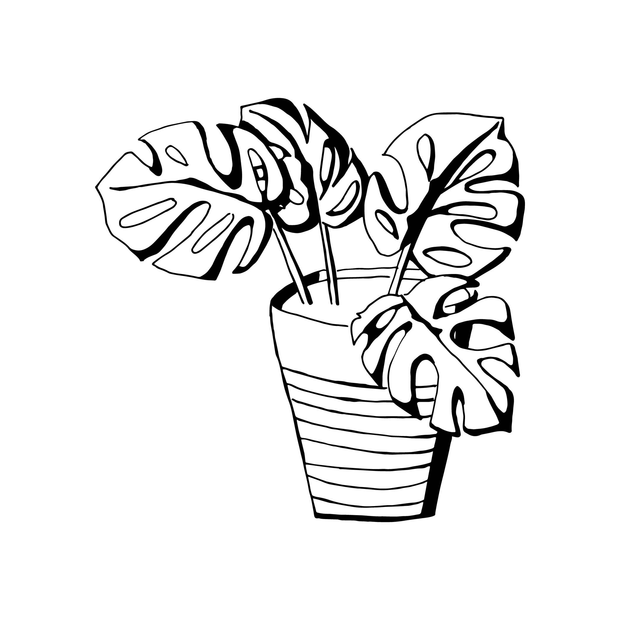 Vector Handdrawn Potted Plants Studio Alternativi