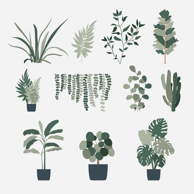 Minimalist Plants – Studio Alternativi