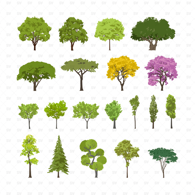 Flat Vector Watercolor Trees (+PNGs), Download AI & PNG