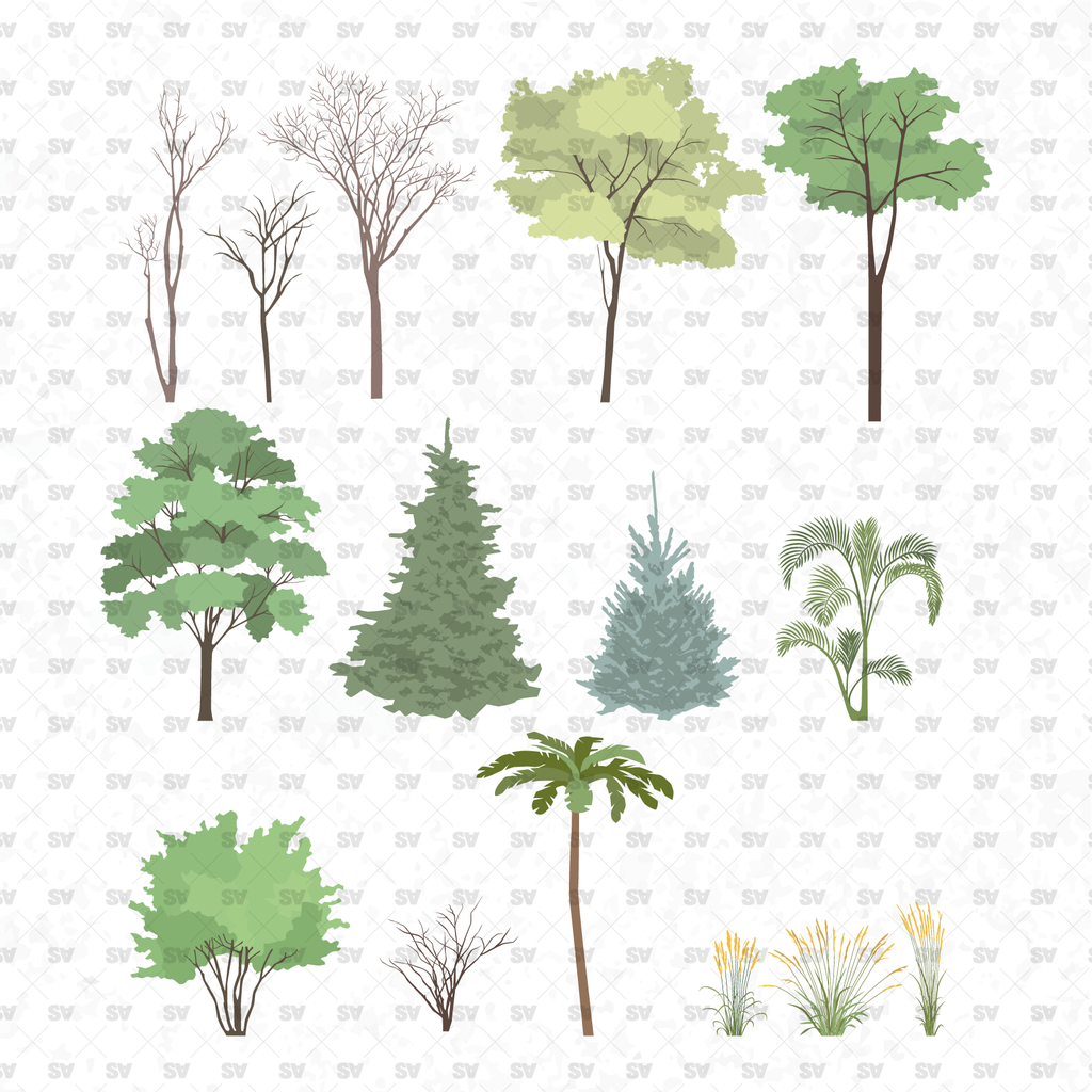 tree illustrator download