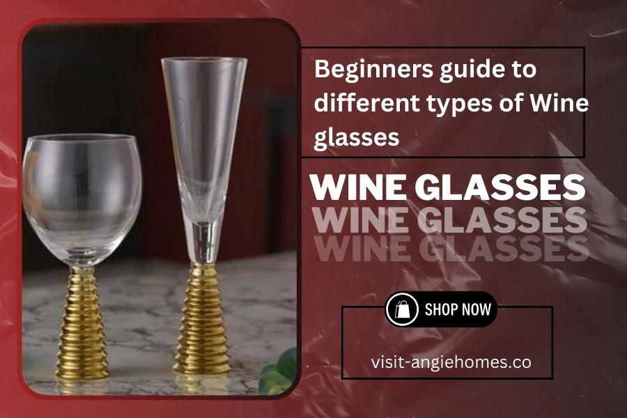 Beginners Guide to Different Types of Wine Glasses