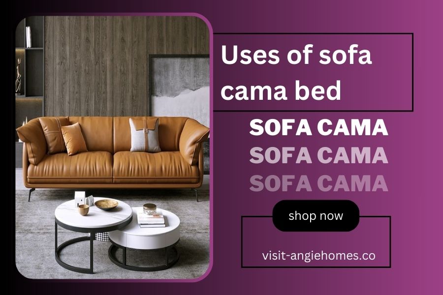 Uses of Sofa Cama Bed