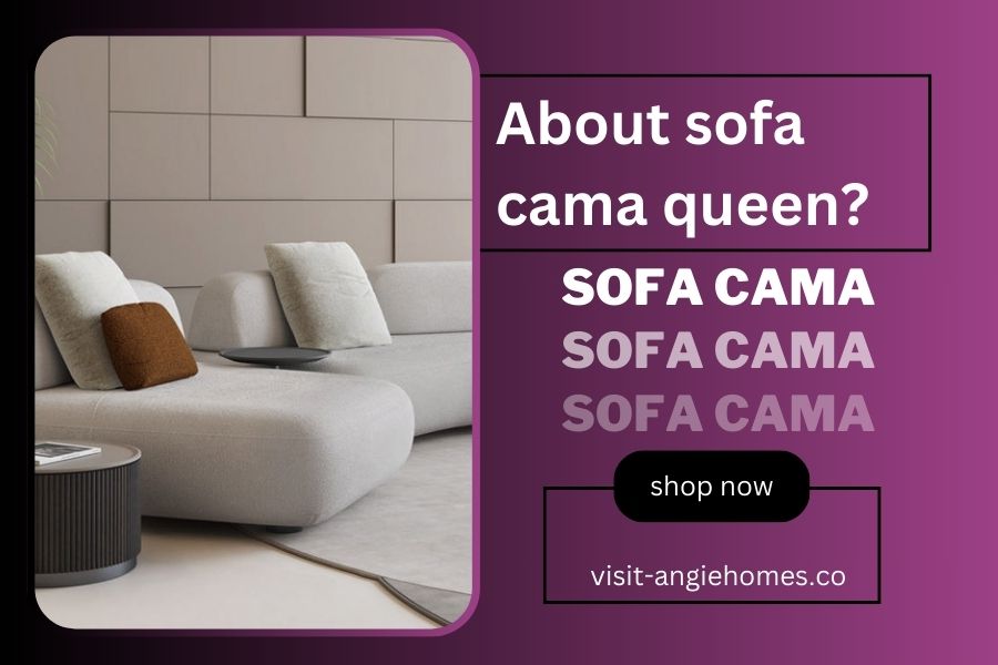 About Sofa Cama Queen