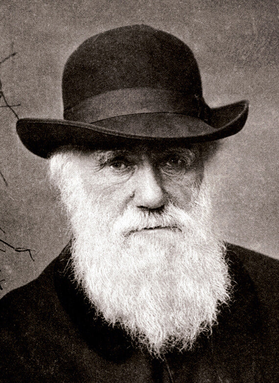 Charles Darwin wore a Full Beard Style