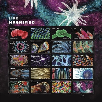 Life Magnified US Forever Stamps