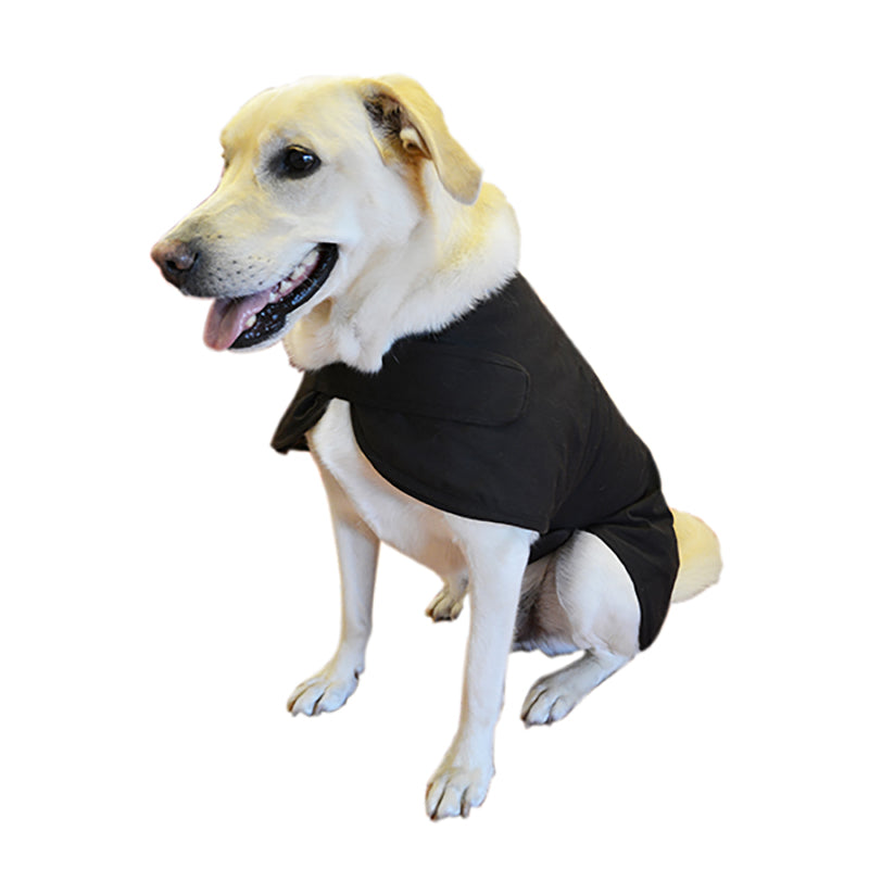 dog medical jacket