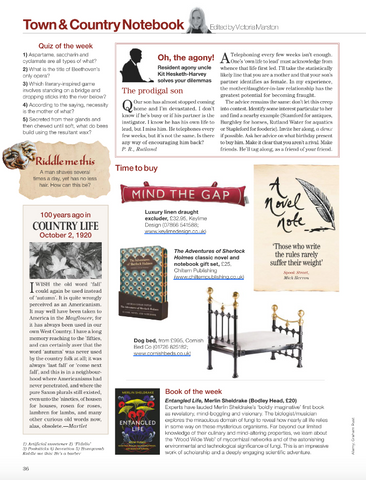 The Country Life Magazine featuring The Cornish Bed Company Dog pet Bed