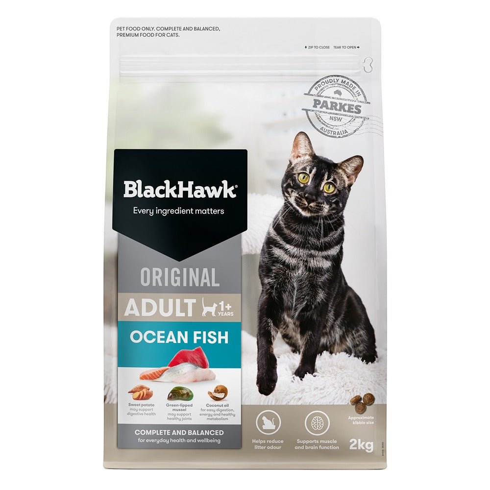 Black deals hawk cat