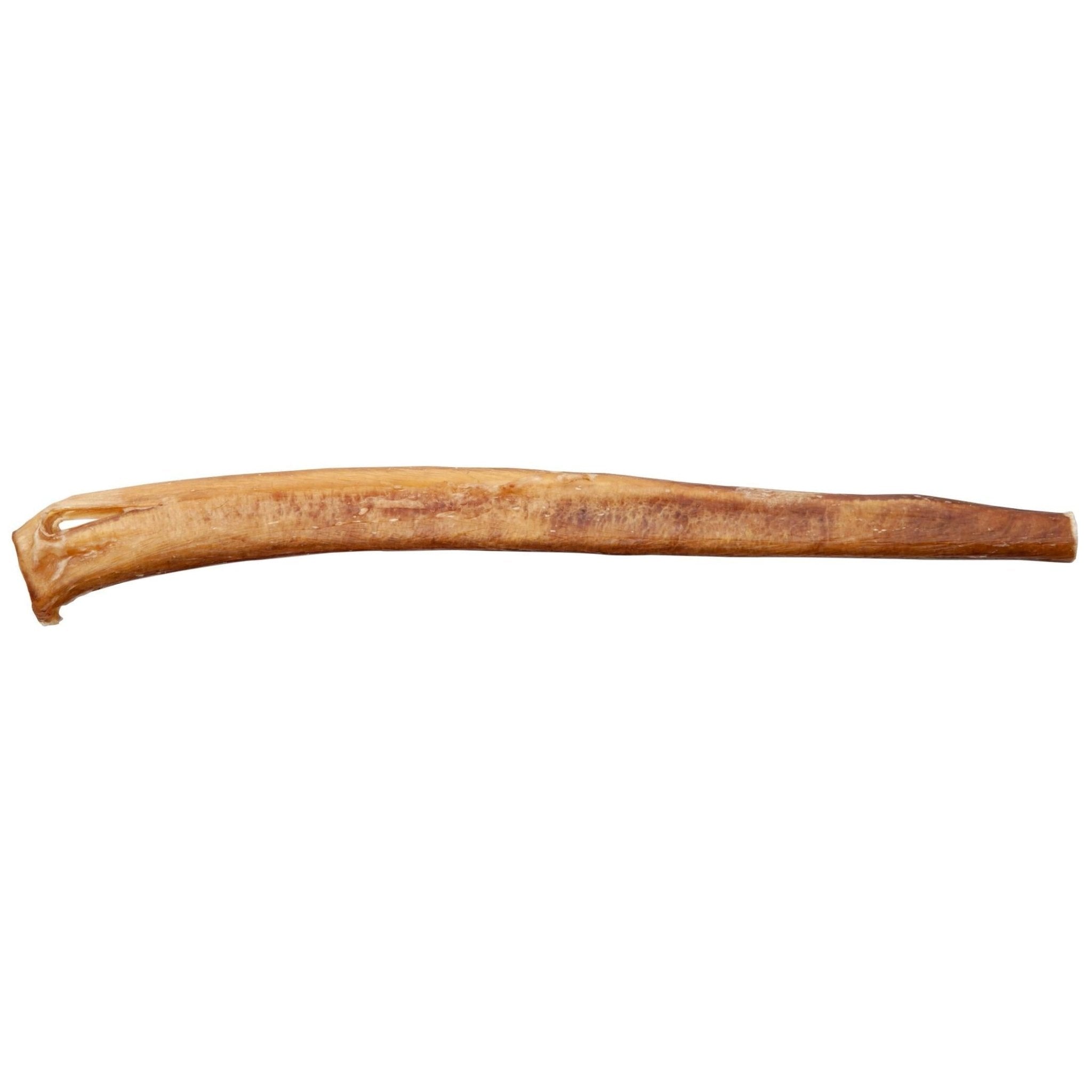 Black dog deals bully sticks 25