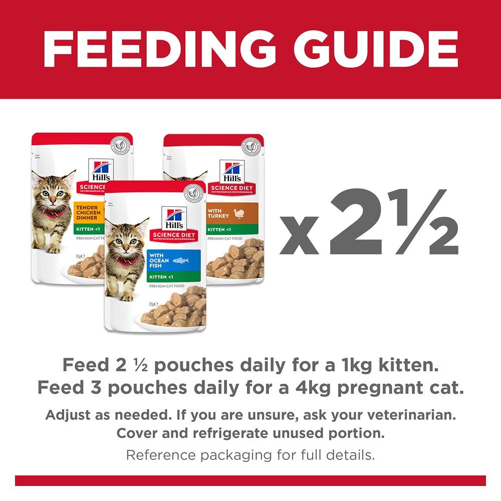 Hills kitten food feeding clearance guide