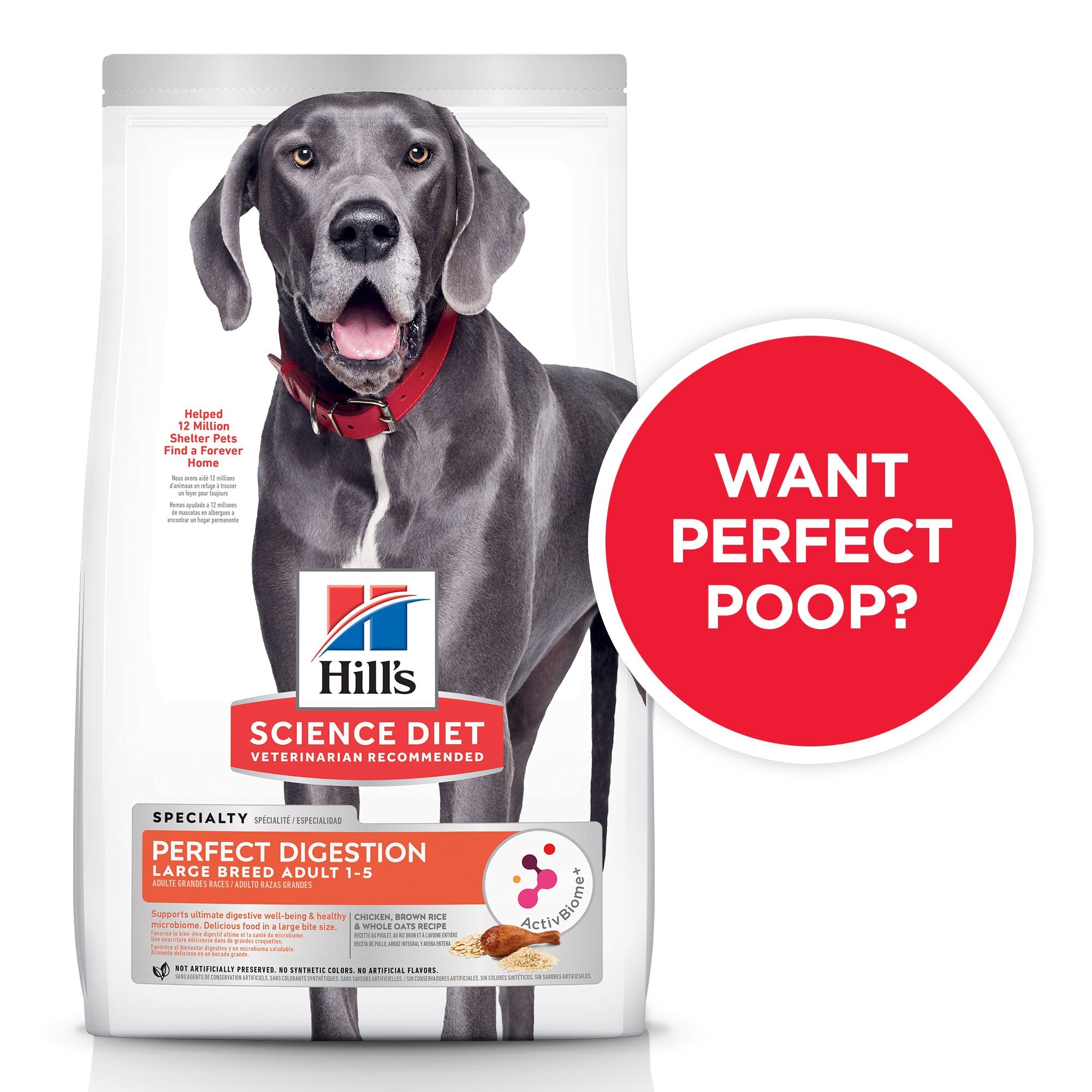 Hill's Adult Perfect Digestion pour chats