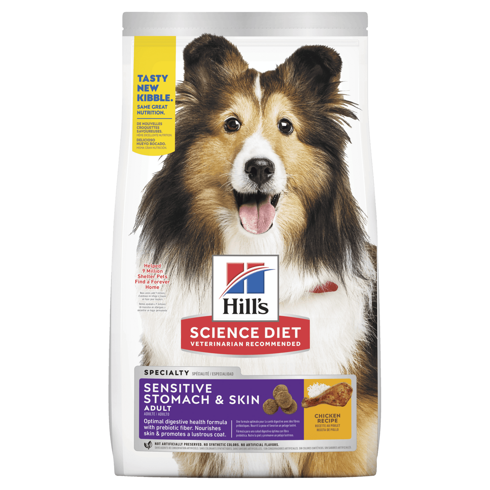 best holistic dog food for sensitive stomach