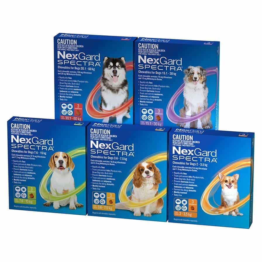Nexgard Spectra Dog Flea Tick & Worm Treatment, 30-60kg