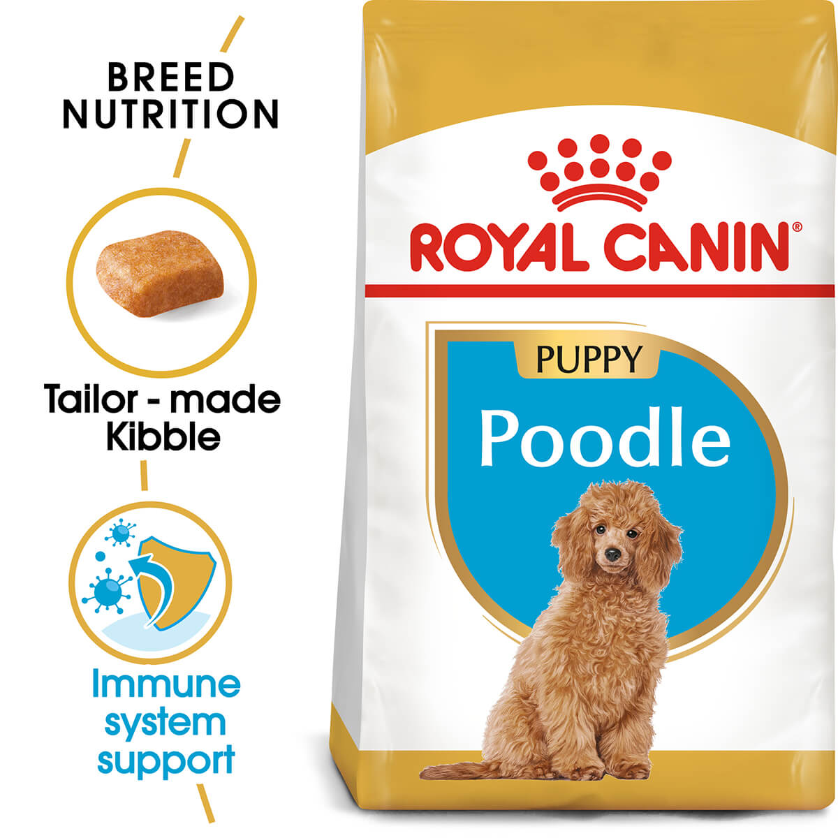 Standard poodle shop dog food