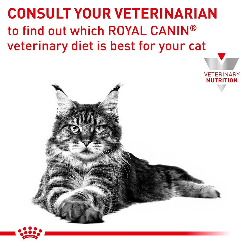 Gastro intestinal royal canin clearance cat