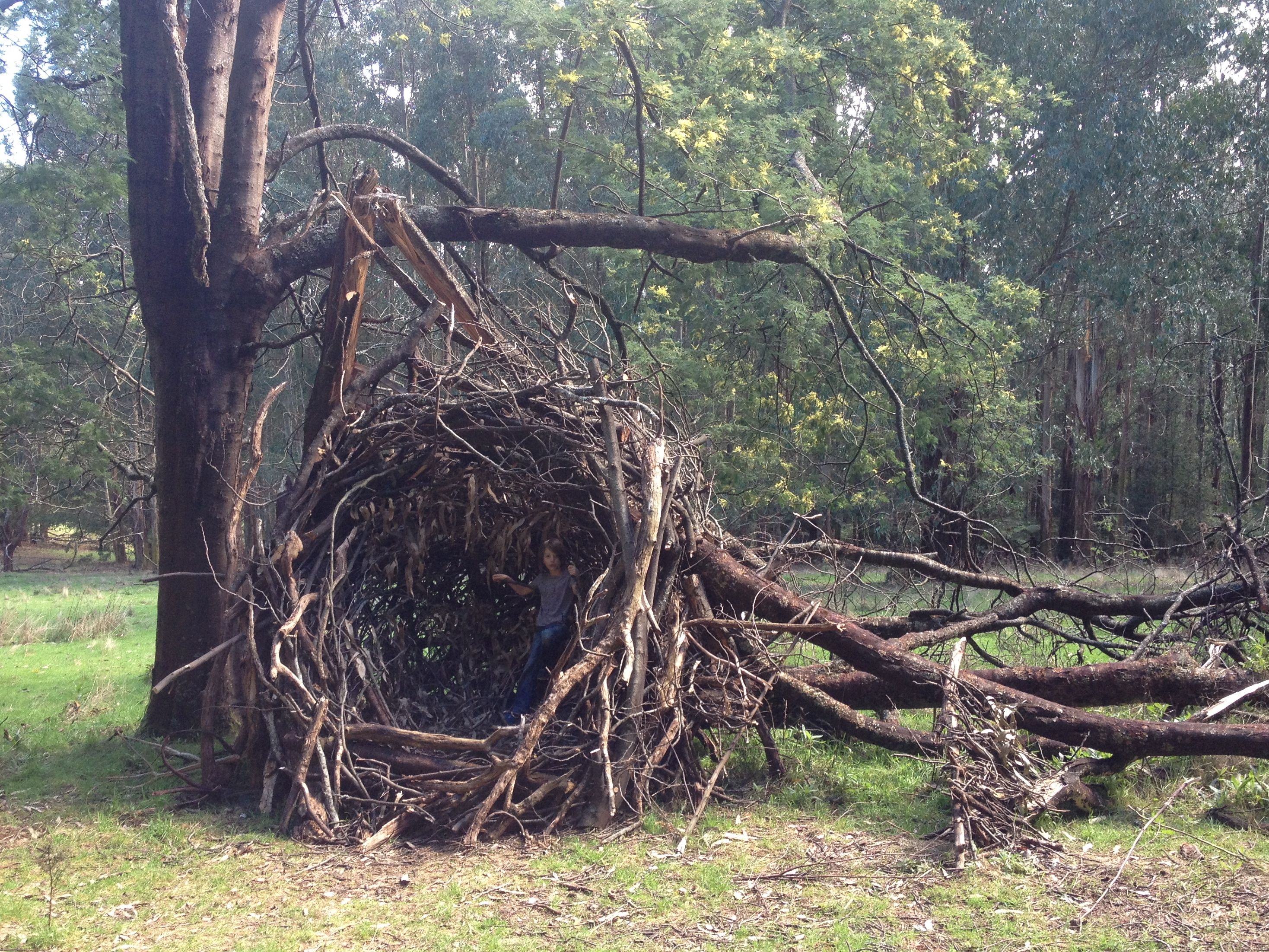 Andy Goldsworthy | Revista P55 | P55.ARTE