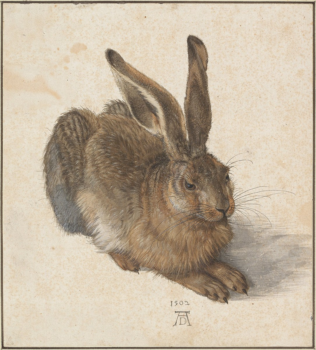 Albrecht Dürer | Magazine | P55.ART