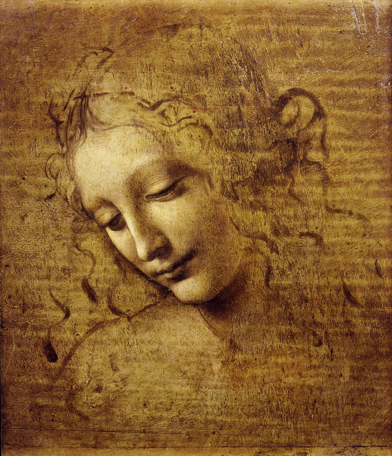 Leonardo da Vinci | Magazin | P55.ART