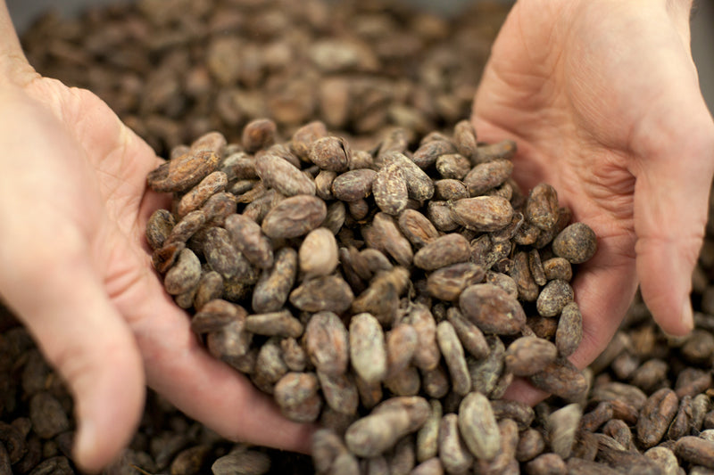bean to bar process of roasting cocoa beans