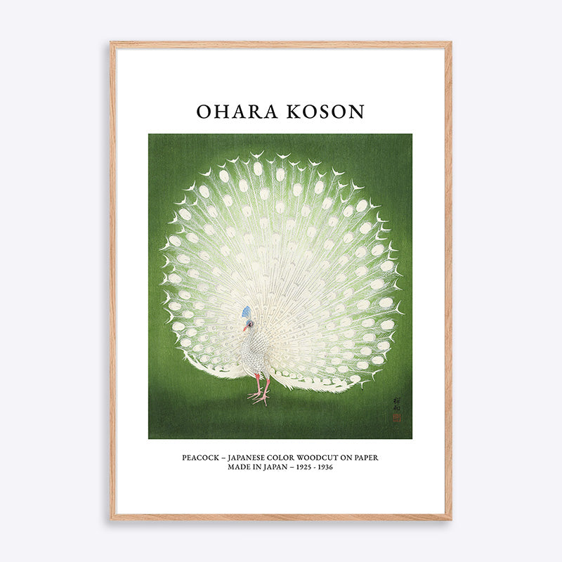Ohara Koson Peacock - 30x40 cm