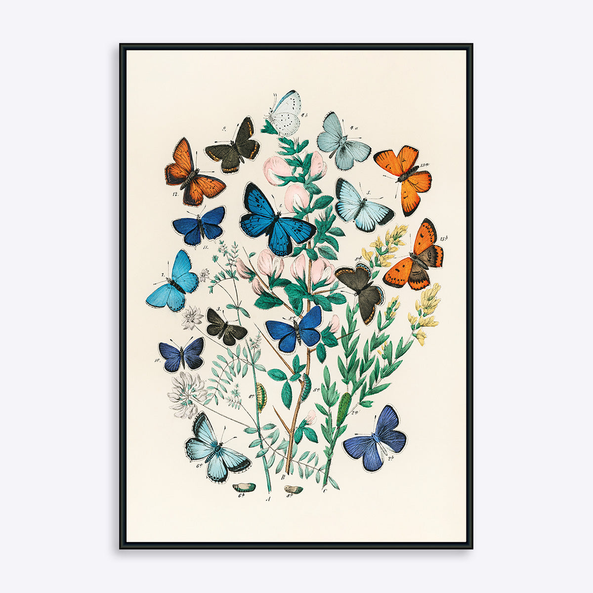 Se Butterflies - 21x30 cm hos Poster Society